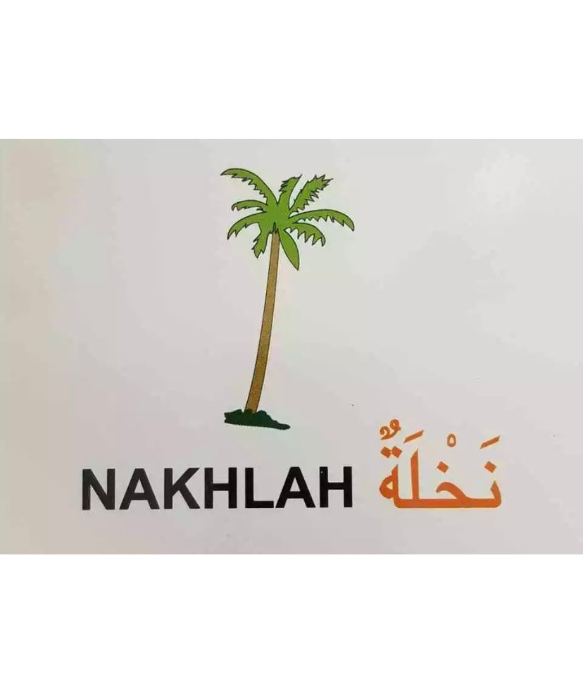 ARABIC ALPHABET FLASH CARD -KIDS