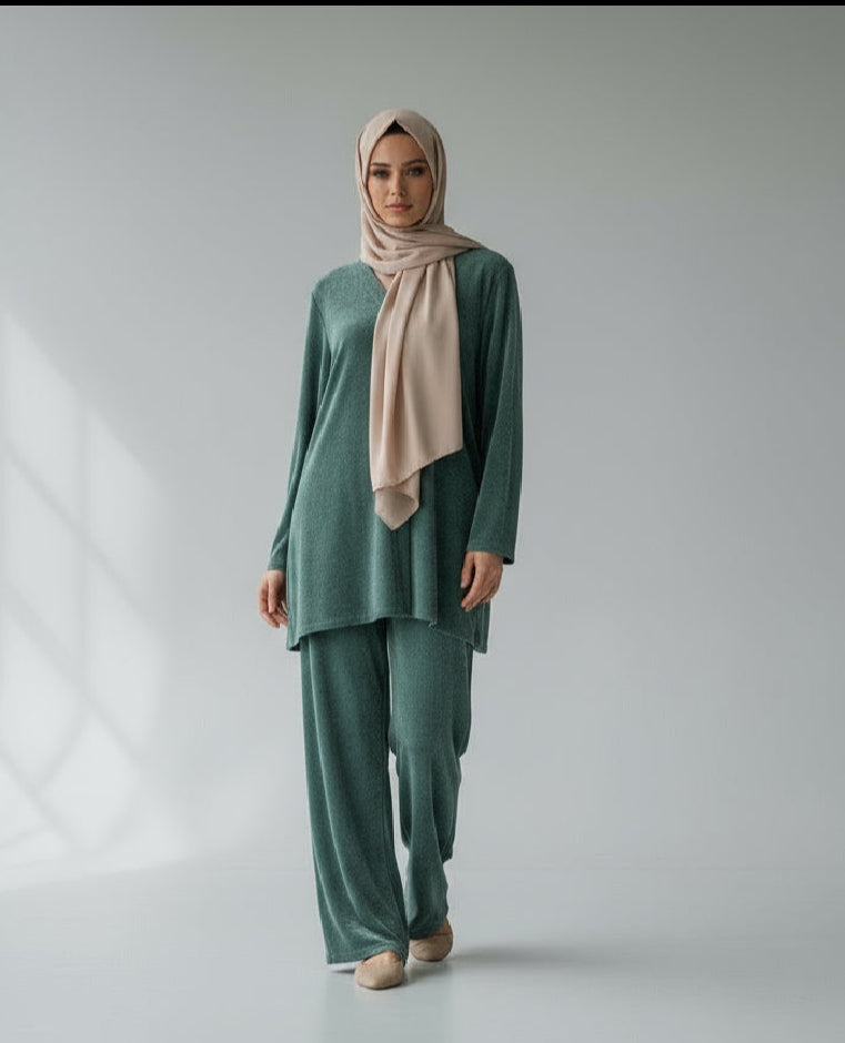 Soft V neck Chenille Coords sets