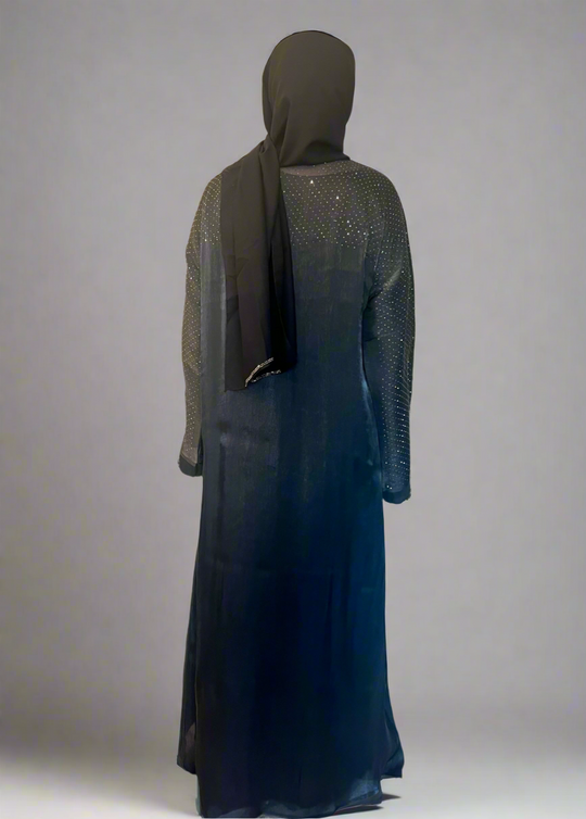 Raaina Organza Abaya Set in Black