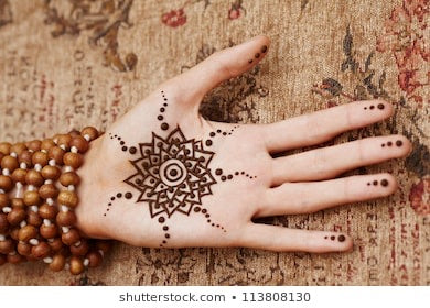 Rani Henna/ Mehndi / Tattoo Cones