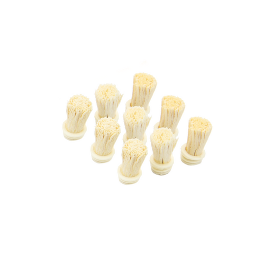Toothwak Miswak Replacement Heads